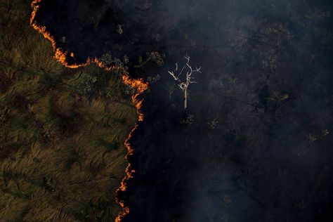 Brazil Amazon, Amazon Forest, Environmental Law, Agricultural Practices, Land Use, Indigenous Community, Water Resources, Amazon Rainforest, Forest Fire