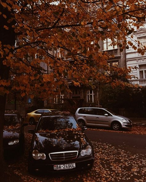 october 🍂 on Instagram: “Good night! How has your day been? 🍁🚗” Autumn Town, Autumn Halloween Aesthetic, Colourful Leaves, Hey Pumpkin, Warm Scarves, Dark Nights, School Starts, Autumn Illustration, Photography Journey