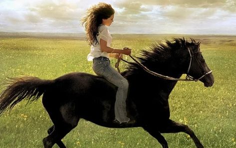 17 Famous Horses in Movies and TV Series Flicka Movie, Maximus Tangled, Kiger Mustang, I Love Bass, Mister Ed, Chincoteague Ponies, Horse Star, Yellowstone Series, Horse Movies