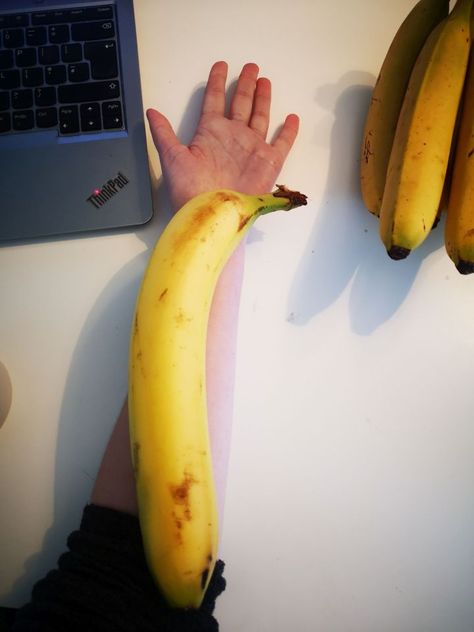 SAM Palmer’s eyes were on stalks when she unpacked the shopping — and found a foot-long banana. She said mum Paula had not noticed what a whopper it was at the supermarket. But when they pulled it out, it was as big as her forearm. Sam, 31, added: “It was the biggest banana I’ve ever […] She Said, Trip Advisor