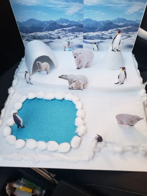 Polar Bear Habitat Project Kids, Arctic Habitat Project For Kids, Arctic Habitat, Winter Science Activities, Diorama Kids, Habitats Projects, Craft Work For Kids, Dramatic Play Preschool, Winter Art Projects