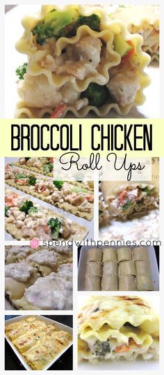 Creamy Broccoli Chicken Roll-Ups!  These are always a HUGE hit with my family!  So yummy! Big Shells, Chicken Rollups, Creamy Chicken Casserole, Quinoa Pasta, Chicken Roll Ups, Chicken Roll, Canned Soup, Broccoli Alfredo, Broccoli Chicken