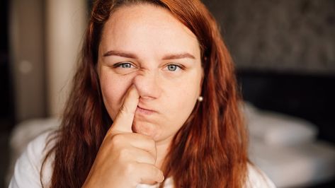 Picking your nose is a \'risk factor\' for Alzheimers, say scientists #DailyMail Nose Picking, Gavin And Stacey, Senior Health, The Nose, Medical Science, Katie Holmes, Alzheimers, Blood Vessels, The Brain