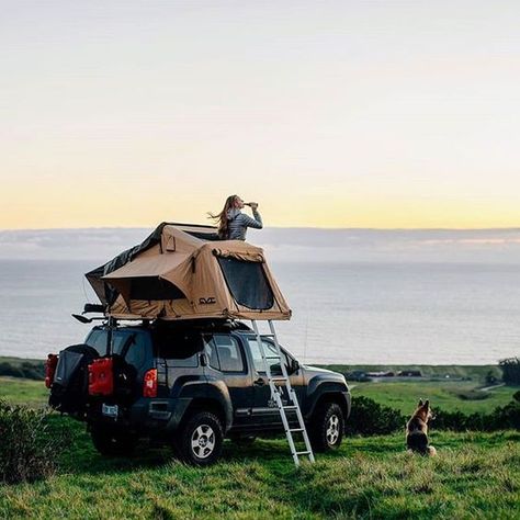 Jeep Hammock, Rooftop Camping, Xterra Mods, Car Roof Tent, Tent View, Camping Photos, Coleman Camping Stove, Australia Road Trip, Camping With Dogs