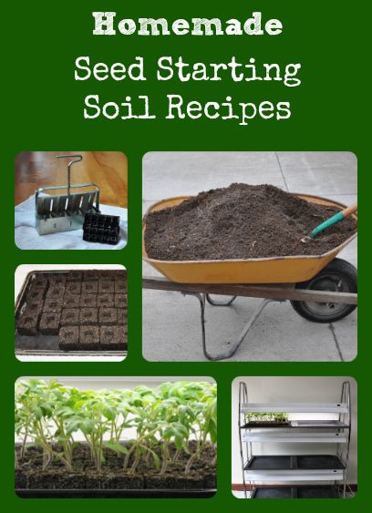 Homemade Soil Mix for Seed Starting Soil Blocks, Grow Seeds, Low Maintenance Garden Design, Seed Starting Soil, Seed Starting Mix, Diy Gardening, Low Maintenance Garden, Garden Soil, Veggie Garden