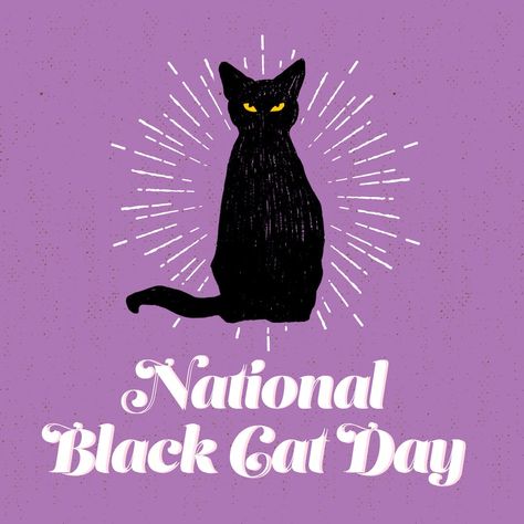 🖤🐈‍⬛ National Black Cat Day, Black Cat Day, Touchstone Crystal Jewelry, Tastefully Simple, Animal Shelters, Bad Luck, Cat Names, Cat Owners, Black Cats