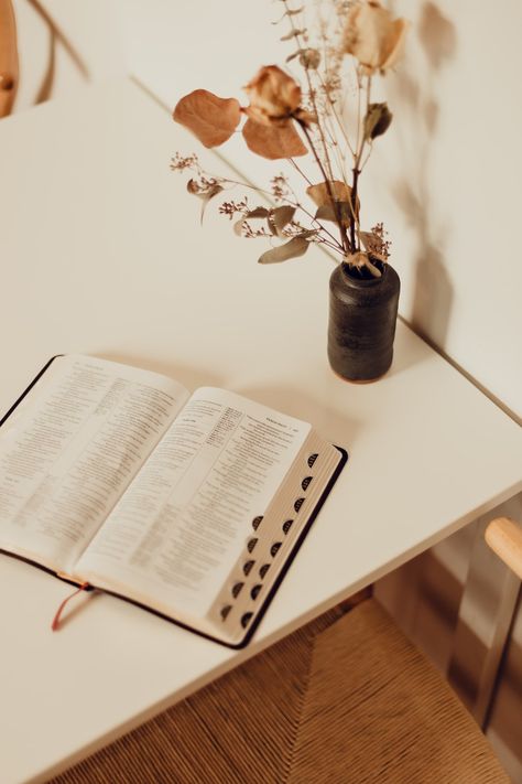 Thanks to @AMPRSNDPHOTO for making this photo available freely on @unsplash 🎁 Bible Study Photography, Counselling Branding, Biblia Aesthetic, Christian Pics, Bible Pics, Feather Meaning, Dealing With Divorce, Bible Photos, White Magic Spells