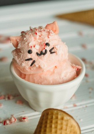 Brunch Smoothie, Cat Ice Cream, Peppermint Ice Cream, Sweet Kitty, Love Ice Cream, Japanese Dessert, Frozen Treat, Ice Ice Baby, Ice Cream Party