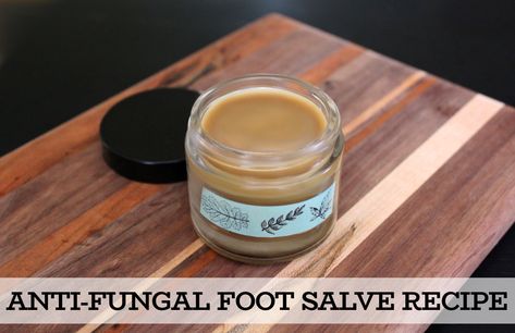 Antifungal Foot Salve Recipe - a natural holistic home remedy for athlete's foot, toenail fungus and candida with key ingredients like an anti-fungal essential oil, neem oil and coconut oil. This natural anti-fungal foot salve recipe is a great way to naturally promote skin health. Used daily it can help to treat fungal foot infections as well as prevent their reoccurrence. #antifungal Antifungal Essential Oil, Holistic Home, Natural Antifungal, Toenail Fungus Remedies, Natural Skincare Recipes, Oregano Essential Oil, Salve Recipes, Holistic Health Remedies, Toenail Fungus