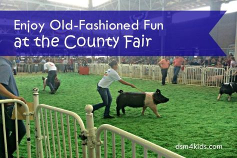 Enjoy Old-Fashioned Fun at the County Fair - dsm4kids.com County Fair Activities, Country Fair, Factory Tours, Fun Fair, Youth Sports, County Fair, Kids Events, State Fair, Family Outing