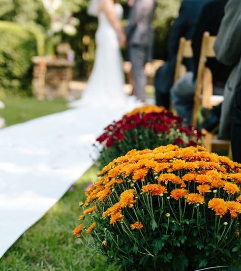 Potted Mums, Early Fall Weddings, Mums Wedding, Fall Backyard, Fall Wedding Ceremony, Fall Mums, Rustic Backyard, Purple Wedding Bouquets, Walk Down The Aisle