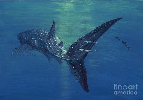 Shark Painting, Shark Pictures, Underwater Painting, Whale Sharks, Moody Art, Shark Art, Underwater Sea, Underwater Art, Whale Art