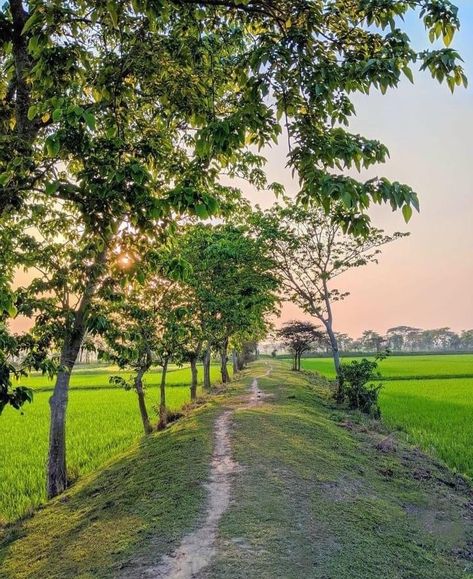 Bangladesh Village Photography, Bangladesh Army, 10k Instagram Followers, Beautiful Bangladesh, Rajasthani Art, Klimt Art, Beautiful Scenery Photography, Photoshop Backgrounds Free, Natural Picture