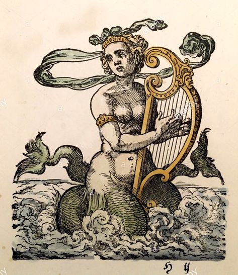 Mermaid History, Royal Houses, Mermaid Books, The Siren, Engraving Illustration, Mermaids And Mermen, Vintage Mermaid, Mystical Art, Sea Monsters