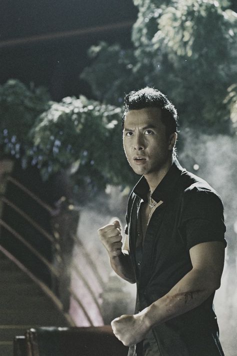 Donnie Yen Ip Man, Donnie Yen Movie, Hidden Dragon, Hong Kong Cinema, Chinese Men, Wing Chun Kung Fu, Donnie Yen, Ip Man, Dance Movies