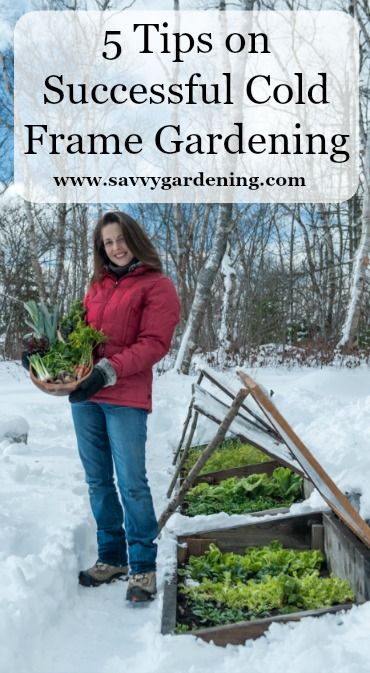 Cold Frame Gardening, Vegetable Garden Planner, Indoor Vegetable Gardening, Backyard Gardening, Fall Vegetables, Fall Garden Vegetables, Organic Vegetable Garden, Winter Vegetables, Garden Planner