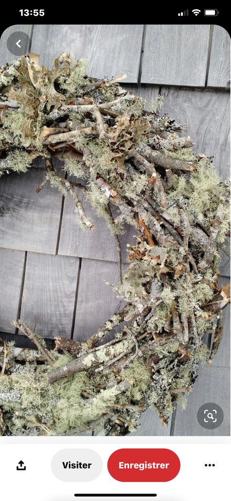 Living Wreath, Kitchen Wreath, Moss Wreath, Fun Wreath, Natural Wreath, Twig Wreath, Seasonal Wreaths, Diy Vase, Deco Floral