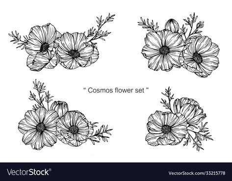 Marigold And Cosmos Flower Drawing, Marigold And Cosmos Flower Tattoo Sleeve, Cosmos And Poppy Flower Tattoo, Cosmo Flower Tattoo Black And White, Cosmo Flower Drawing, Marigold And Cosmos Tattoo, Cosmo Flower Tattoo October, Cosmo Tattoo Flower, Cosmos Flowers Drawing