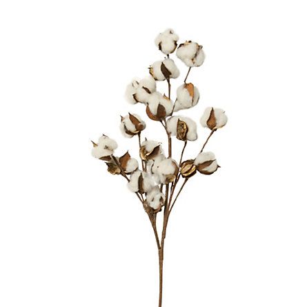 cotton stems wedding Stem Decorations, Terrain Christmas, Country Wedding Centerpieces, Cotton Bouquet, Basket Arrangement, Cotton Branches, Cotton Tree, Southern Farmhouse, Winter Whites