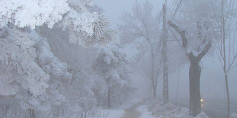 Winter Princess, Winter Fairy, I Love Winter, Mia 3, Snow Angels, Winter Scenery, Snowy Day, Crystal Palace, Winter Aesthetic