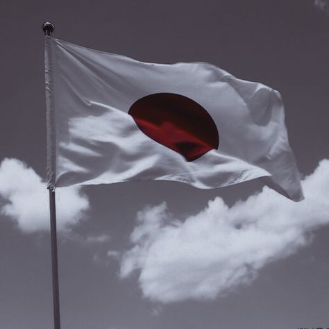 Japan Flag Aesthetic, Flag Aesthetic, Japan Flag, Travel Asia, Canada Flag, Asia Travel, Country Flags, Flag, Japan