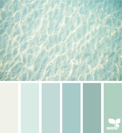 Design Seeds: Color Swim Colors Branding, Turquoise Palette, Va Services, Colour Crush, Mood Board Interior, Jack Of All Trades, Big Kids Room, Color Palette Challenge, Sea Summer