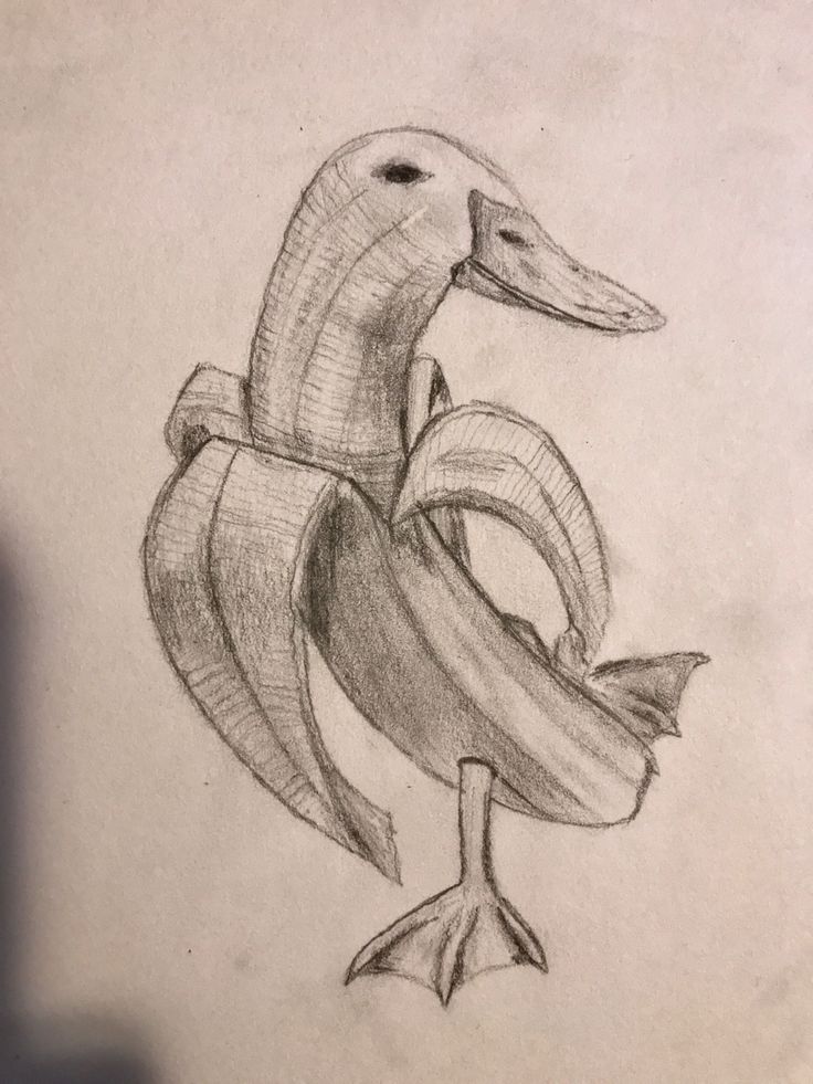 a drawing of a bird with bananas in its beak