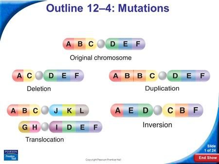 an image of some type of words that are written in different colors and font styles