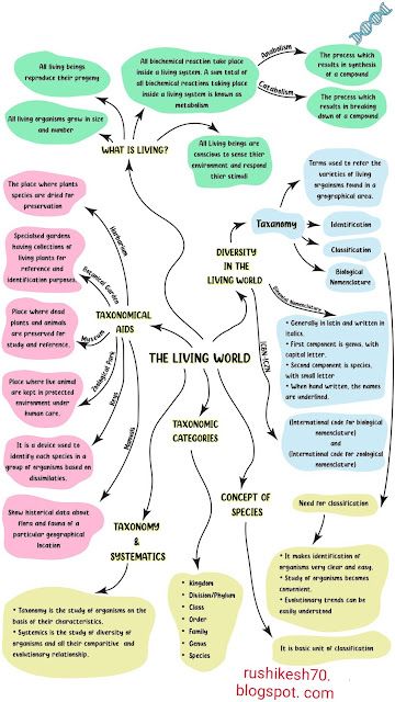 a flow diagram with different types of words