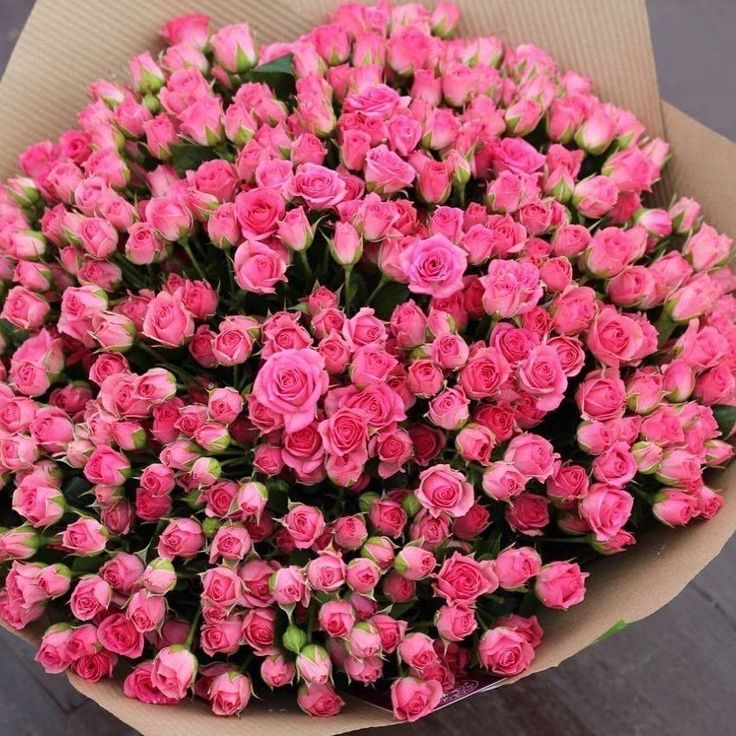 a bunch of pink roses in a box