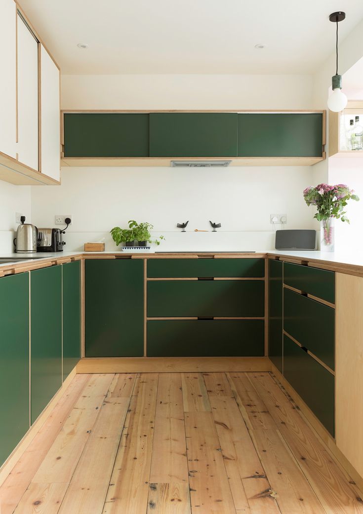 a kitchen with wooden floors and green cabinets in the center, along with potted plants on the counter