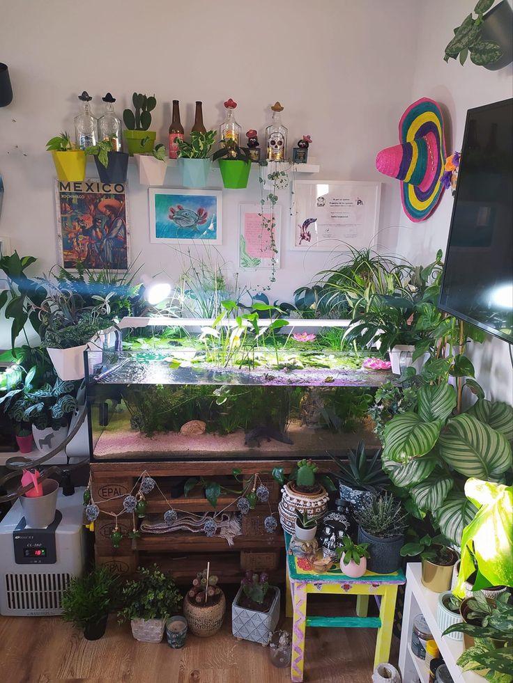 a room filled with lots of different types of plants