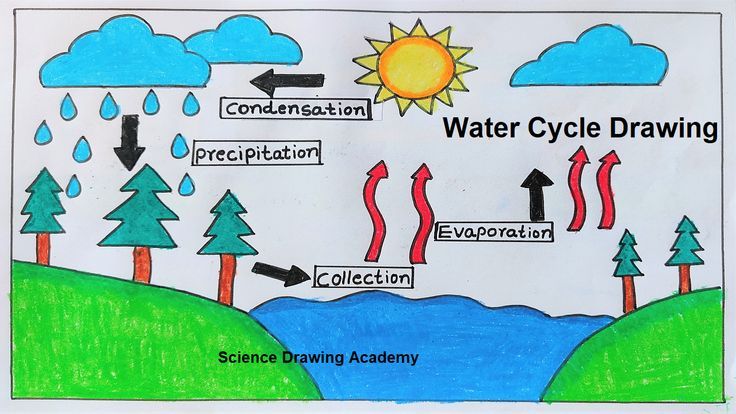 Water Cycle drawing  science project | paper chart | science drawing  @howtofunda   @craftpiller ​ Simple Water Cycle Diagram, Easy Water Cycle Drawing, Condensation Drawing, Water Cycle Drawing Art Projects, Water Cycle Project Poster, Evaporation Drawing, Science Charts For Classroom, Water Resources Project, Condensation Water Cycle