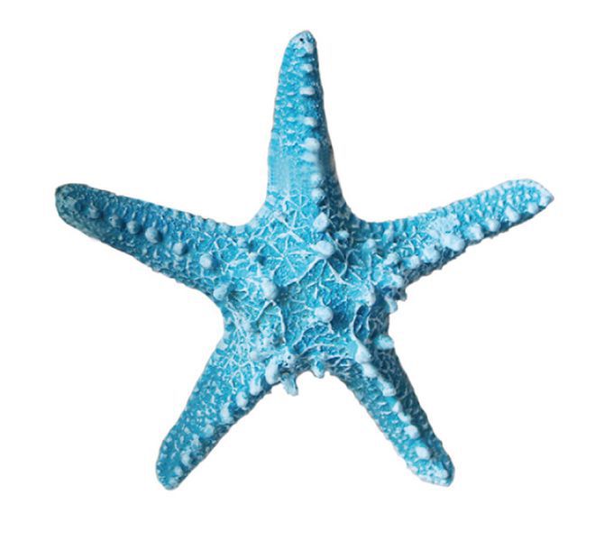 a blue and white starfish on a white background