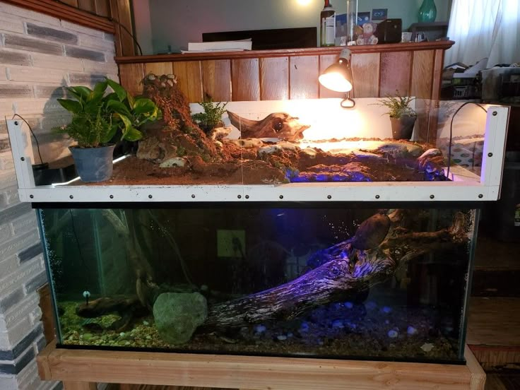 a fish tank with plants and rocks in the bottom half, on top of a shelf