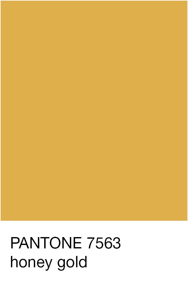 pantone's honey gold color is shown with the words, tone 763 honey gold