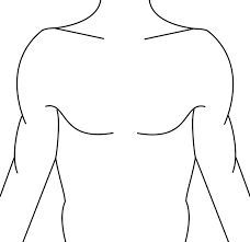 the outline of a man's torso and chest