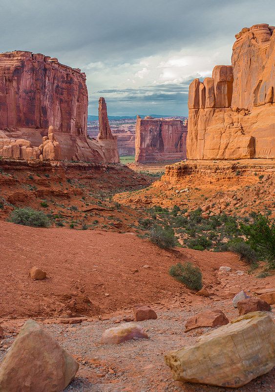 the desert is full of large rocks and rock formations, with sparse trees in the foreground