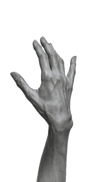 a person's hand reaching up into the air