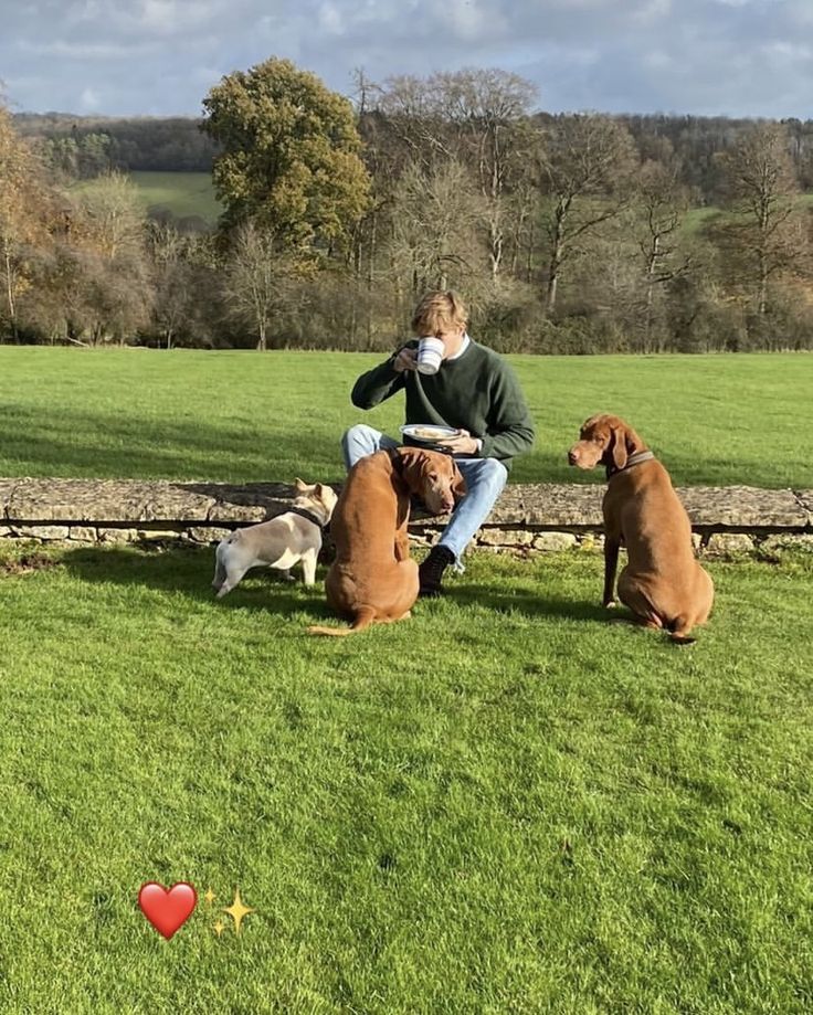 a man sitting on top of a bench with two dogs next to him and another dog behind him