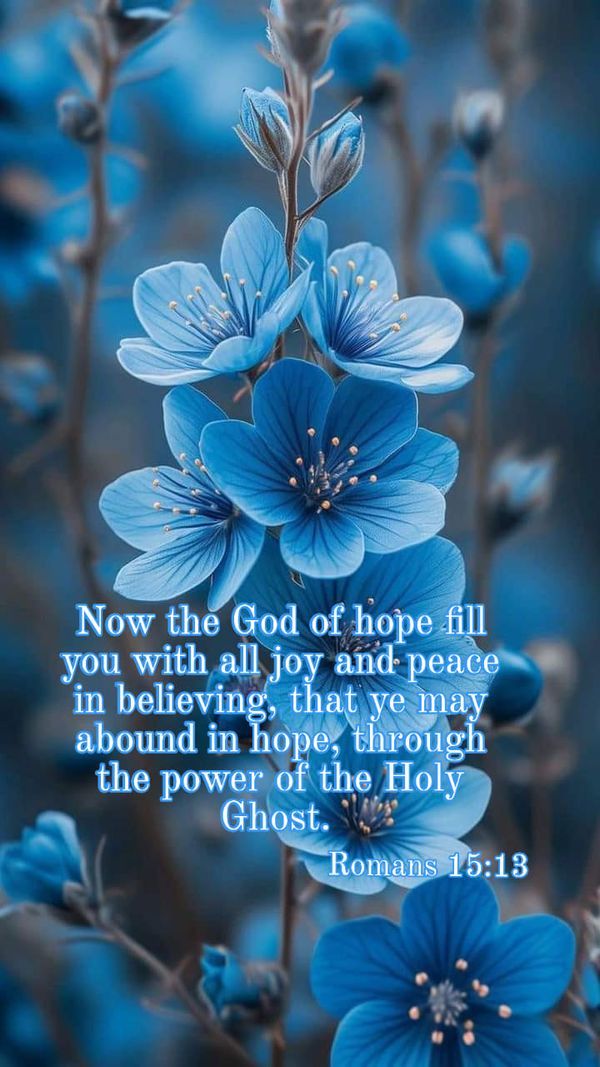 blue flowers with the words, now the god of hope fill you with all joy and peace