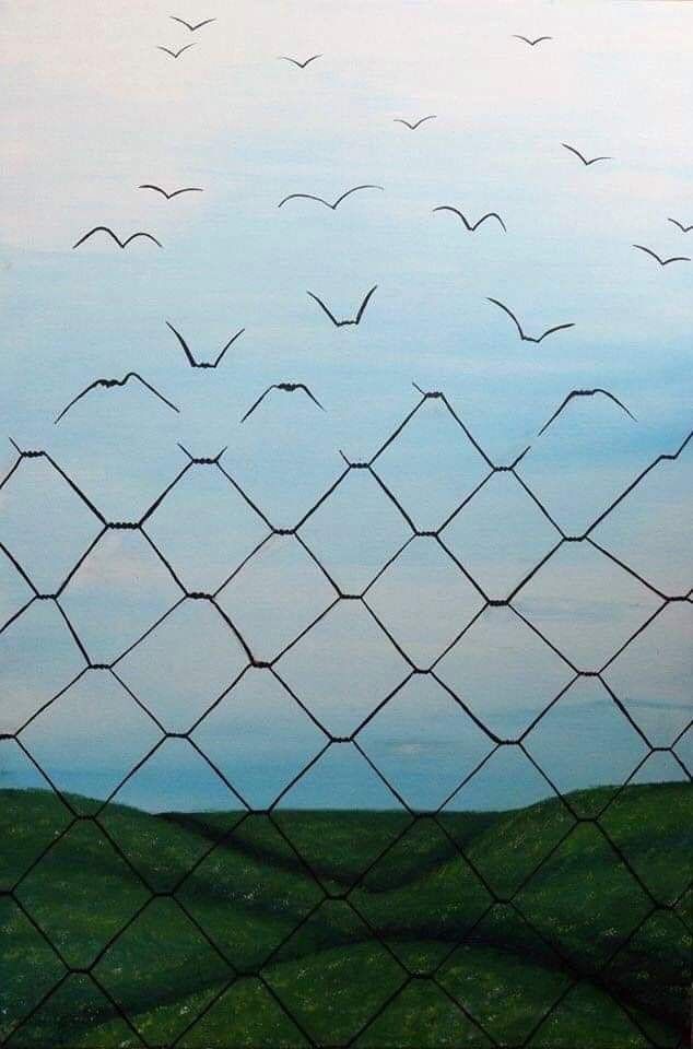 birds are flying in the sky behind a chain link fence with grass and blue skies