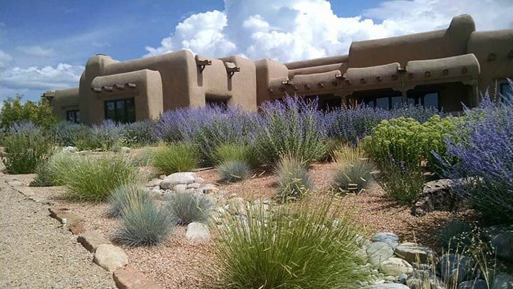 an adobe - style house with plants and rocks in the foreground