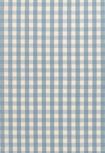 a blue and white checkered rug