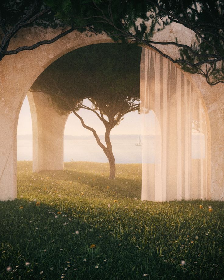 an archway in the middle of a field with trees and grass on both sides that are covered by sheer curtains