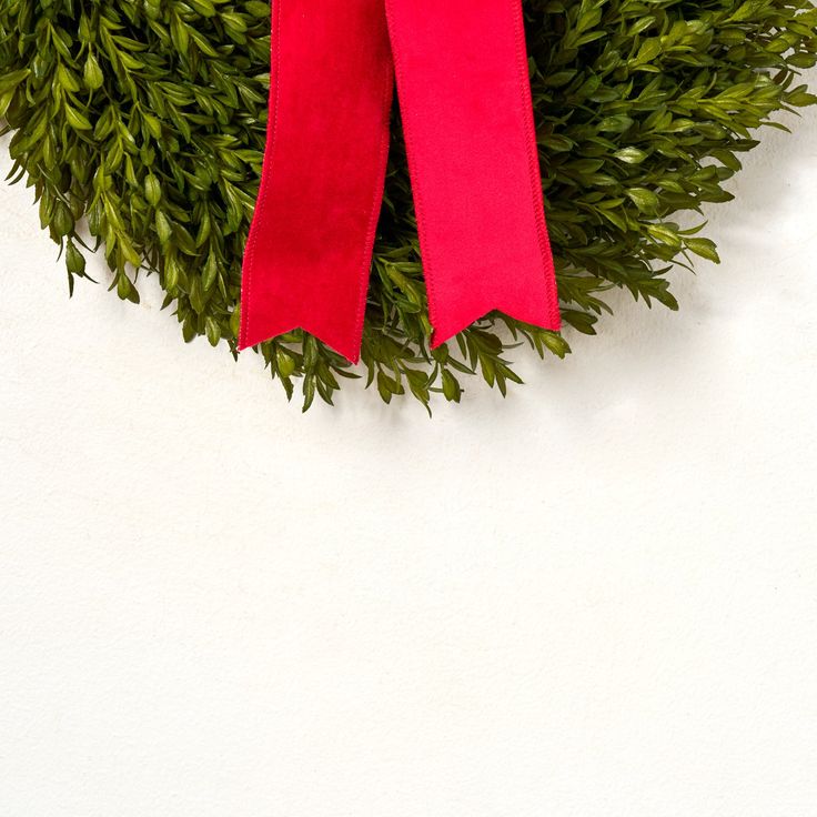 a red bow on top of a green bush