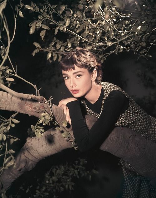 a woman is sitting under a tree with her hand on the top of an elephant's trunk