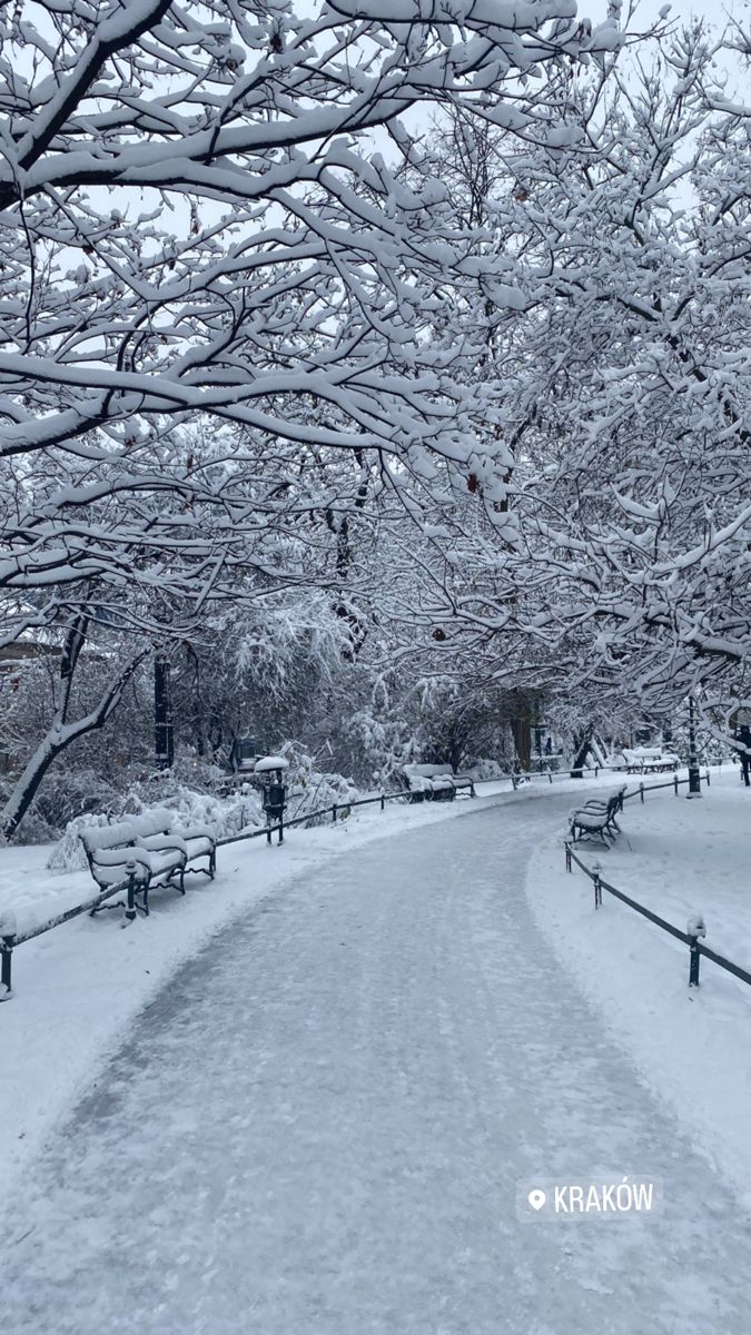 a snowy park with benches and trees covered in snow