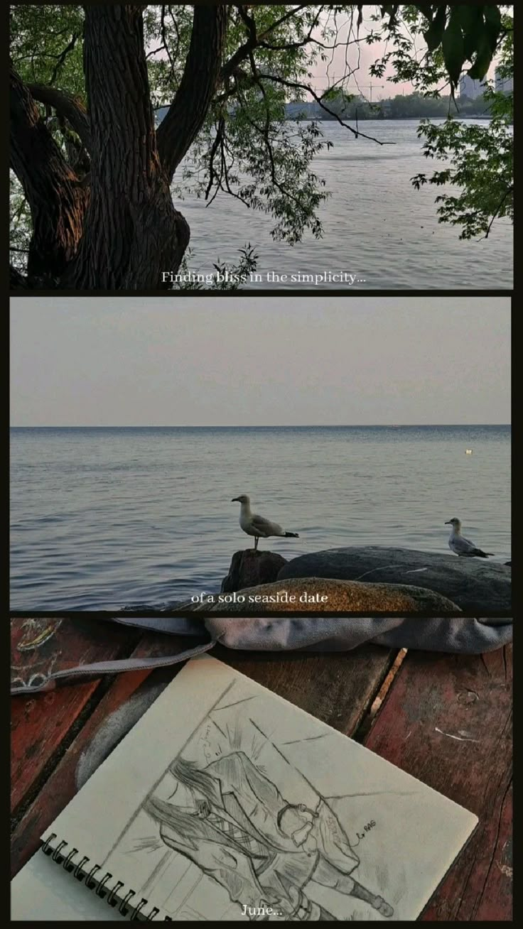 two different views of the water with birds sitting on it's edge and an open notebook