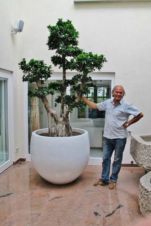 a man standing next to a bonsai tree in a large white bowl shaped planter